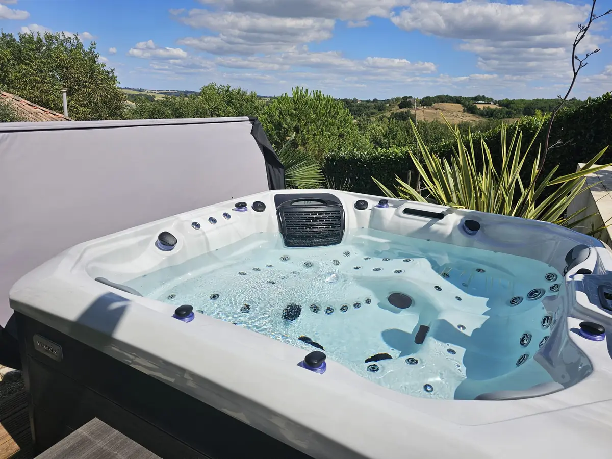 Spa extérieur dans un jardin paysager
